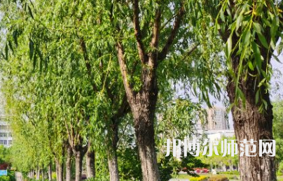 南陽(yáng)理工師范學(xué)院2023年報(bào)名條件、招生要求、招生對(duì)象