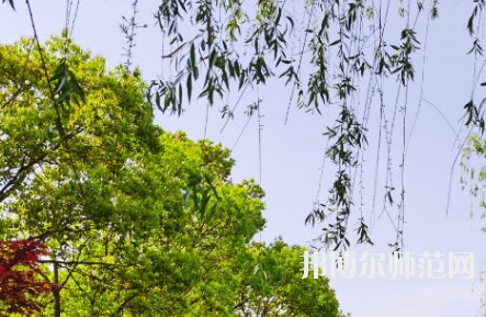南陽(yáng)理工師范學(xué)院2023年報(bào)名條件、招生要求、招生對(duì)象