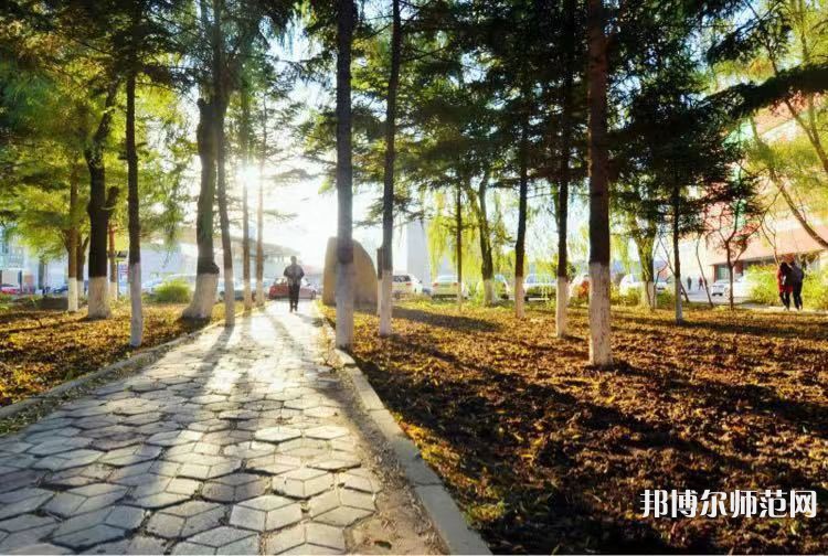 長春大學師范學院主校區(qū)2023年報名條件、招生要求、招生對象