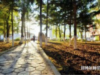 長春大學(xué)師范學(xué)院主校區(qū)2023年報(bào)名條件、招生要求、招生對象