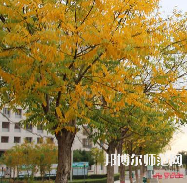 延川幼師職教中心2023年學費、收費多少