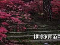 信陽(yáng)師范學(xué)院華銳學(xué)院2023年報(bào)名條件、招生要求、招生對(duì)象