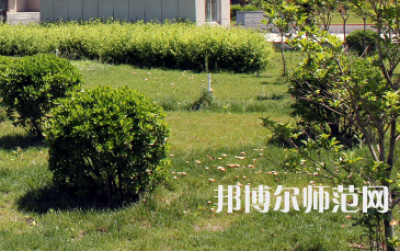 安陽幼兒師范高等?？茖W(xué)校歷年招生錄取分?jǐn)?shù)線
