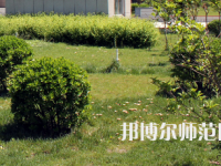安陽(yáng)幼兒師范高等?？茖W(xué)校歷年招生錄取分?jǐn)?shù)線