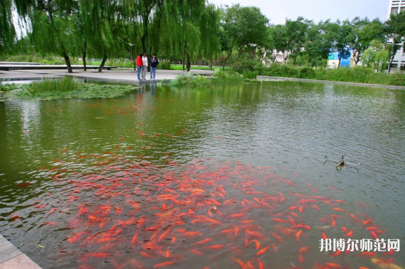 濰坊科技師范學(xué)院2023年怎么樣、好不好 