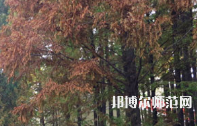 信陽師范學院2023年怎么樣、好不好
