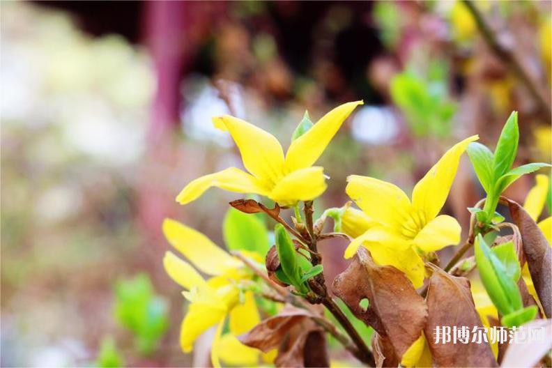 長(zhǎng)春理工師范大學(xué)2023年怎么樣、好不好