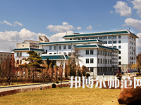 延邊師范大學(xué)2023年學(xué)費(fèi)、收費(fèi)多少