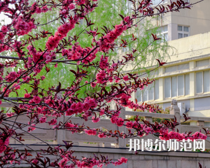 蘇州科技師范大學(xué)天平學(xué)院2023年報名條件、招生要求、招生對象