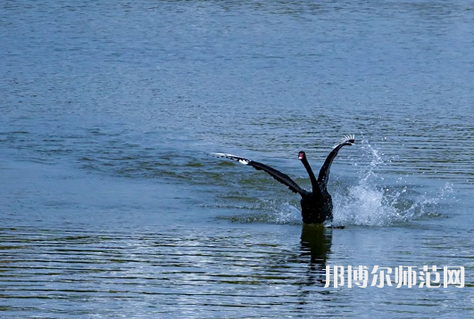 浙江師范大學(xué)2023年怎么樣、好不好