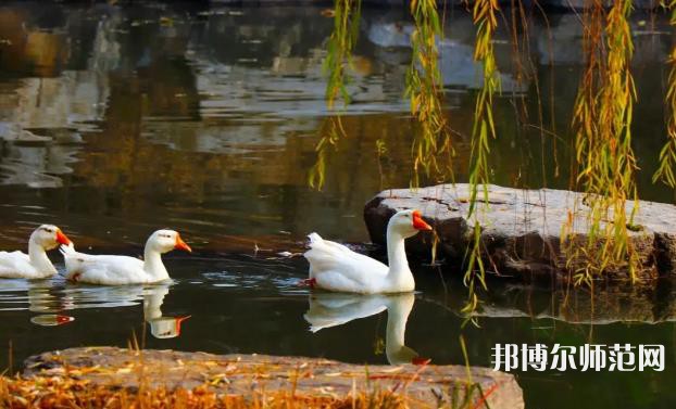 山東財經(jīng)師范大學(xué)萊蕪校區(qū)2023年報名條件、招生要求、招生對象 