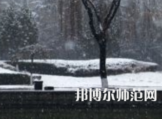 焦作師范高等?？茖W(xué)校2023年招生代碼