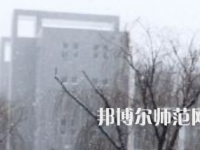 焦作師范高等?？茖W(xué)校2023年招生代碼