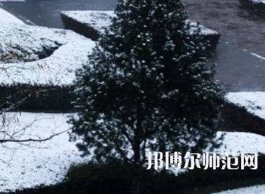 焦作師范高等?？茖W(xué)校2023年報(bào)名條件、招生要求、招生對(duì)象