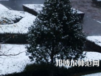 焦作師范高等?？茖W(xué)校2023年報名條件、招生要求、招生對象
