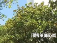 湖南理工師范學(xué)院南湖學(xué)院2023年怎么樣、好不好