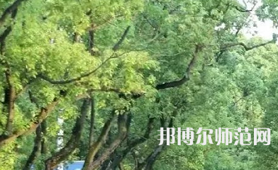 湖南理工師范學(xué)院南湖學(xué)院2023年報(bào)名條件、招生要求、招生對(duì)象