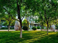 山東財(cái)經(jīng)師范大學(xué)圣井校區(qū)2023年怎么樣、好不好