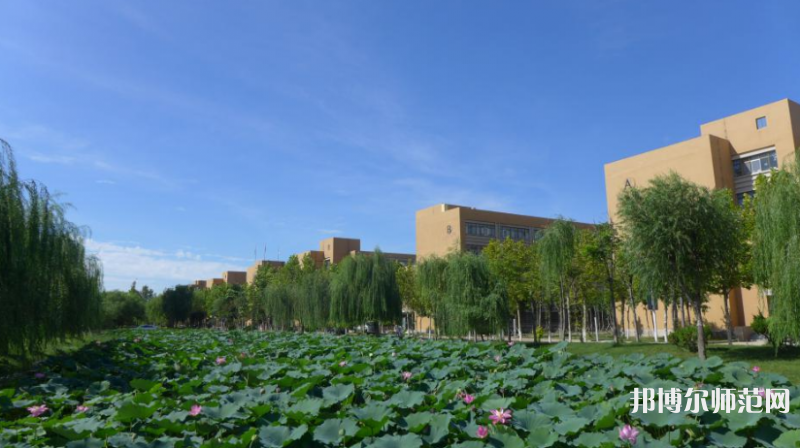 東營職業(yè)師范學(xué)院2023年報名條件、招生要求、招生對象 