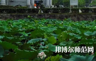 南華師范大學紅湘校區(qū)2023年報名條件、招生要求、招生對象