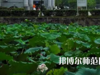 南華師范大學(xué)紅湘校區(qū)2023年報名條件、招生要求、招生對象