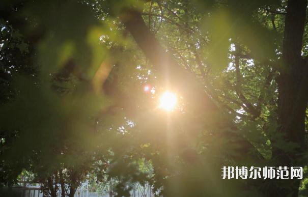 咸陽(yáng)職業(yè)技術(shù)師范學(xué)院2023年報(bào)名條件、招生要求、招生對(duì)象