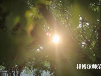 咸陽(yáng)職業(yè)技術(shù)師范學(xué)院2023年報(bào)名條件、招生要求、招生對(duì)象