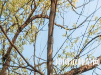 湖南大學(xué)師范學(xué)院南校區(qū)2023年怎么樣、好不好