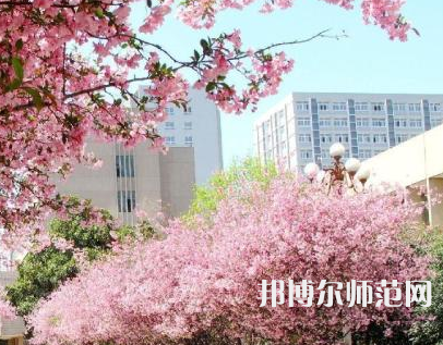 中國礦業(yè)師范大學徐海學院2023年報名條件、招生要求、招生對象