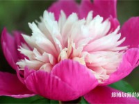 海南師范大學(xué)2023年報(bào)名條件、招生要求、招生對(duì)象