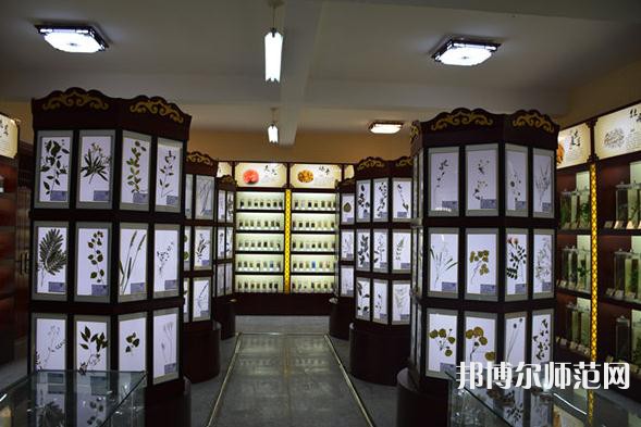 銅川職業(yè)技術(shù)師范學院2023年學費、收費多少