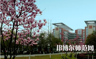 長(zhǎng)江師范學(xué)院2023年報(bào)名條件、招生要求、招生對(duì)象 