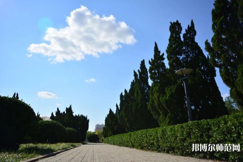 山東石油化工師范學(xué)院2023年報(bào)名條件、招生要求、招生對(duì)象 