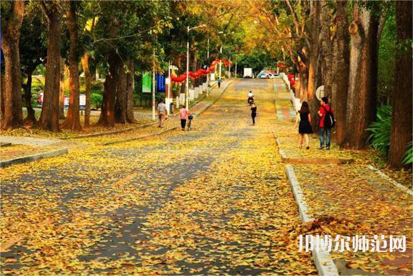 海南大學師范學院海甸校區(qū)2023年報名條件、招生要求、招生對象 