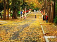 海南大學(xué)師范學(xué)院海甸校區(qū)2023年報(bào)名條件、招生要求、招生對(duì)象