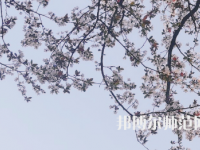 湖南第一師范學(xué)院城南書院校區(qū)2023年學(xué)費(fèi)、收費(fèi)多少