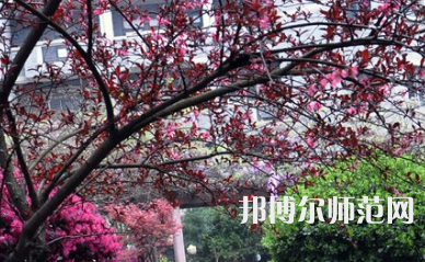 湖南第一師范學(xué)院城南書院校區(qū)2023年怎么樣、好不好
