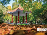 黑龍江師范大學2023年報名條件、招生要求、招生對象