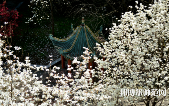長(zhǎng)江大學(xué)文理師范學(xué)院2023年有哪些專(zhuān)業(yè)