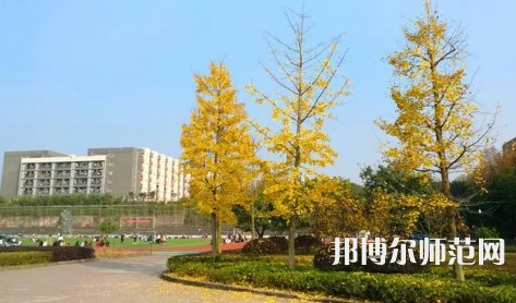 重慶幼兒師范高等?？茖W(xué)校梨園校區(qū)2023年是幾本
