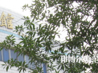 湖南師范大學(xué)樹達(dá)學(xué)院2023年怎么樣、好不好
