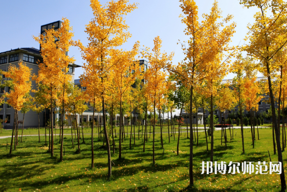寧夏民族職業(yè)技術(shù)師范學(xué)院2023年怎么樣、好不好 
