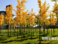 瀘州幼師職業(yè)技術(shù)學校2023年網(wǎng)站網(wǎng)址