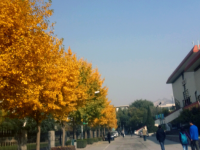 西北師范大學(xué)2023年怎么樣、好不好