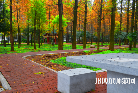 長江大學(xué)文理學(xué)院2023年怎么樣、好不好