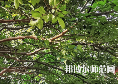 湖南師范大學2023年報名條件、招生要求、招生對象