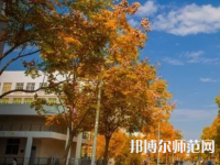 南京師范大學(xué)泰州學(xué)院2023年報(bào)名條件、招生要求、招生對(duì)象