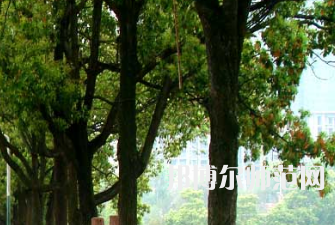 衡陽師范學(xué)院南岳學(xué)院2023年怎么樣、好不好