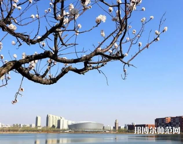 天津理工師范大學(xué)2023年報(bào)名條件、招生要求、招生對(duì)象