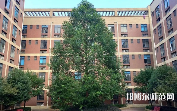 四川師范大學成都學院眉山校區(qū)2023年怎么樣、好不好